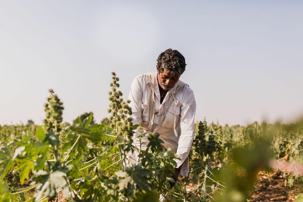 We're working ecologically sustainable hand-in-hand with our partners all over the world