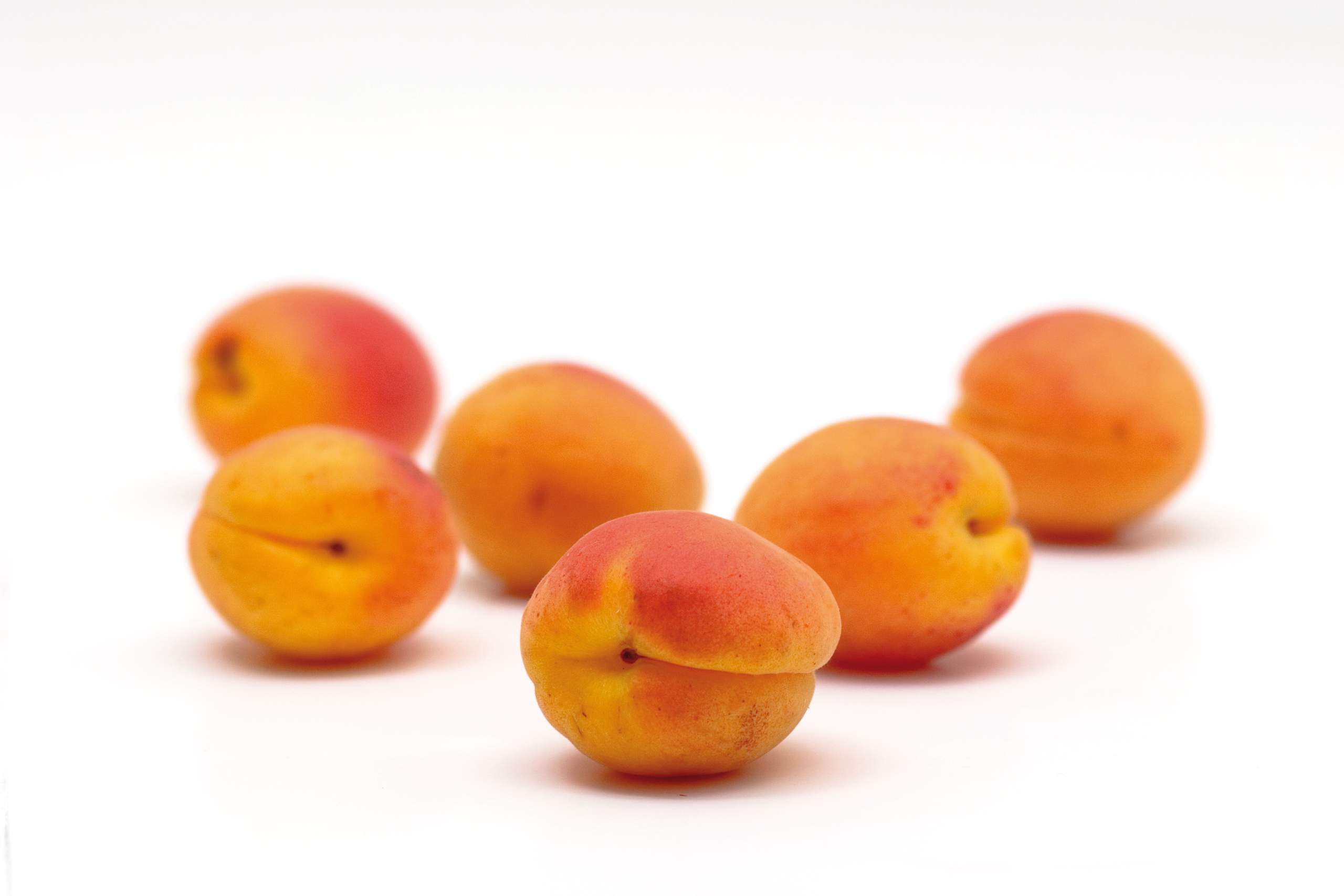 Apricot kernels are surrounded by tasty andsweet apricots