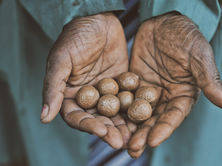 wir bieten frisch hergestellte Produkte aus unserer langjährigen Partnerschaft mit Limbua